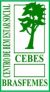 CEBES Brasfemes